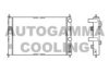 AUTOGAMMA 102863 Radiator, engine cooling